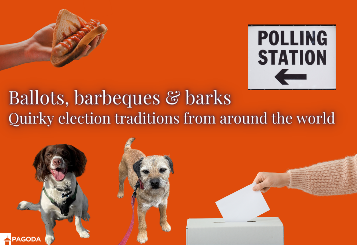 Blog about politics, elections and scottish public affairs with an image of dogs at polling stations